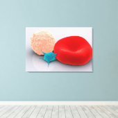 Blutplättchen, rote und weiße Blutkörperchen Leinwanddruck (Insitu (Holzboden))