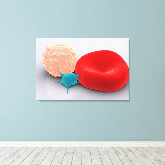 Blutplättchen, rote und weiße Blutkörperchen Leinwanddruck (Insitu (Holzboden))