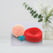 Blutplättchen, rote und weiße Blutkörperchen Postkarte (Stehend Vorderseite)