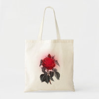 Blutrote Rose