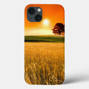 Blutroter Sonnenuntergang Case-Mate iPhone Hülle