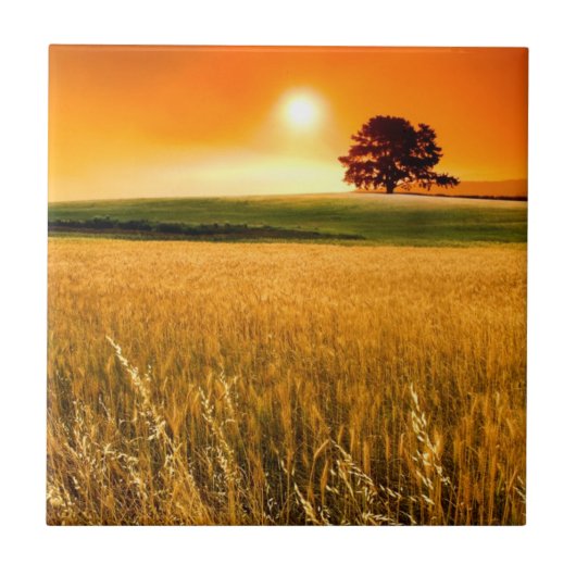 Blutroter Sonnenuntergang Fliese (Vorderseite)