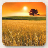 Blutroter Sonnenuntergang Getränkeuntersetzer (Vorderseite)