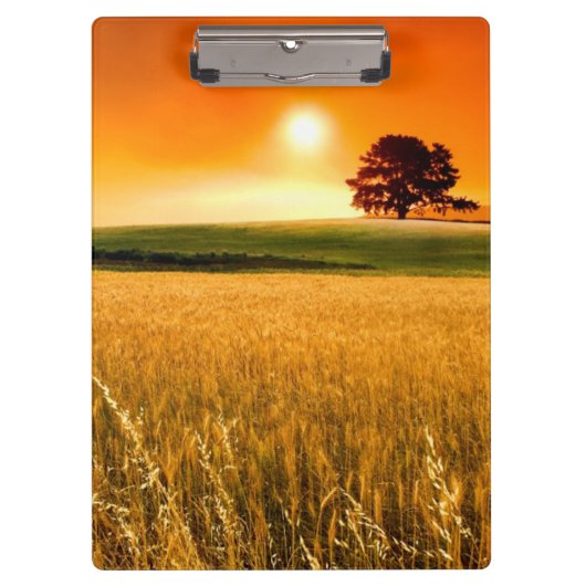 Blutroter Sonnenuntergang Klemmbrett (Vorderseite)