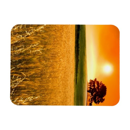 Blutroter Sonnenuntergang Magnet (Horizontal)