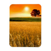 Blutroter Sonnenuntergang Magnet (Vertikal)
