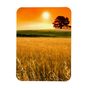 Blutroter Sonnenuntergang Magnet