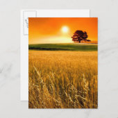 Blutroter Sonnenuntergang Postkarte (Vorne/Hinten)