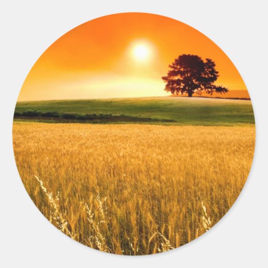 Blutroter Sonnenuntergang Runder Aufkleber (Vorderseite)