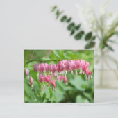 Blutung Foto Herzstück Postkarte (Stehend Vorderseite)