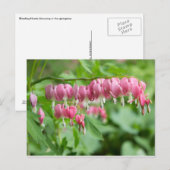 Blutung Foto Herzstück Postkarte (Vorne/Hinten)