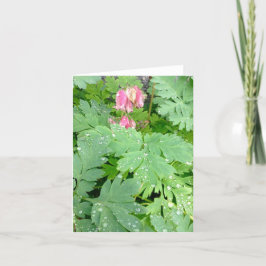 Blutung Heart Bush Feiertagskarte