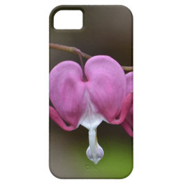 Blutung Herz iPhone 5 Fall Case-Mate iPhone Hülle