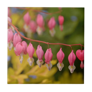 Blutung Herz-Makro Fliese