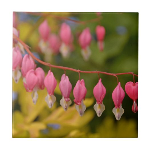 Blutung Herz-Makro Fliese (Vorderseite)