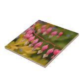 Blutung Herz-Makro Fliese (Seite)
