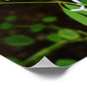 Blutung Herzklopfen Poster (Ecke)