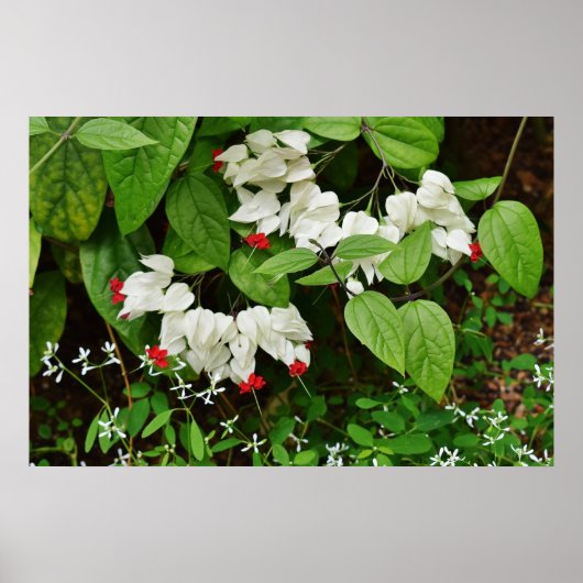 Blutung Herzklopfen Poster (Vorne)