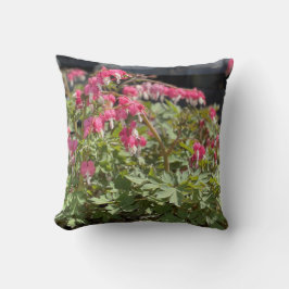 Blutung Herzknochen Pilz Kissen