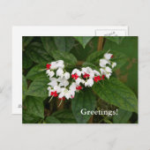 Blutung Herzrinne Postkarte (Vorne/Hinten)