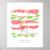 Blutung Herzsprache der Blume Botanische Kunst Poster (Vorne)