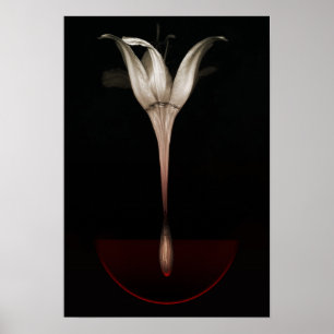 Blutung Lilie 2013 Poster