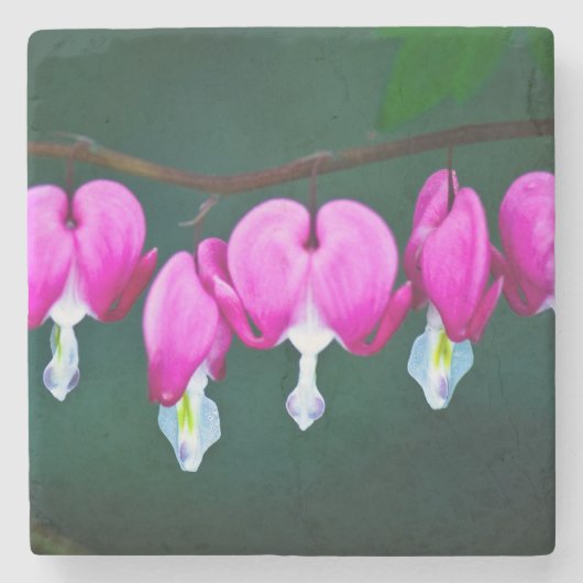 Blutungen Frühlingsblumen Steinuntersetzer (Vorderseite)