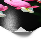 Blutungen Herz Fotodruck (Ecke)