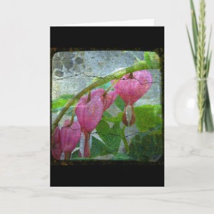 Blutungen Herz Karte