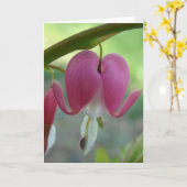 Blutungen Herz Karte (Gelbe Blume)