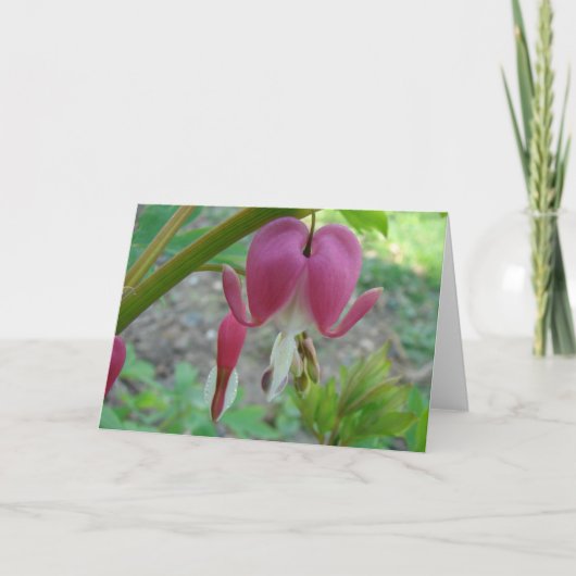 Blutungen Herz Karte (Vorderseite)