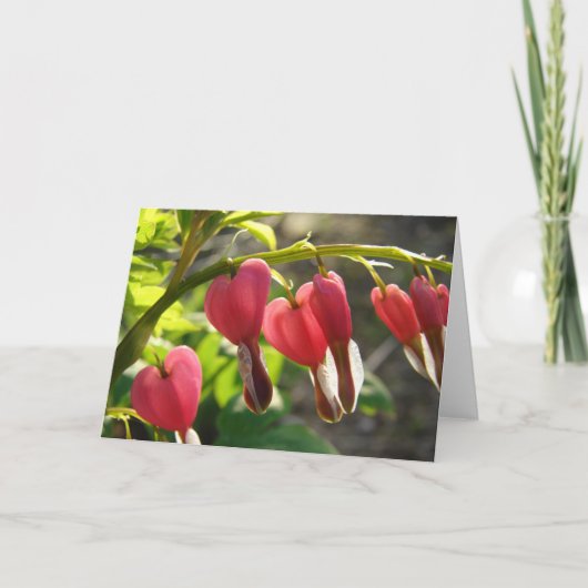 Blutungen Herz Karte (Vorderseite)