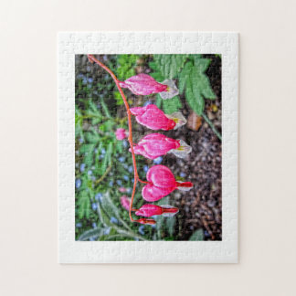Blutungen Herz Puzzle