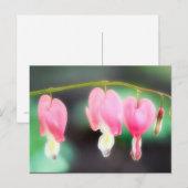Blutungen Herzen Postkarte (Vorne/Hinten)