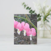 Blutungen Herzen Postkarte (Stehend Vorderseite)