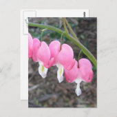 Blutungen Herzen Postkarte (Vorne/Hinten)