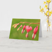 Blutungen Herzkrebs/Unterstützung schwerer Erkrank Karte (Gelbe Blume)