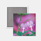 Blutungen im Garten. Gutschrift Magnet (Vorderseite/Rückseite)
