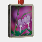 Blutungen im Garten verbinden die Herzen. Kredit Ornament Aus Metall (Rechts)