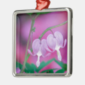 Blutungen im Garten verbinden die Herzen. Kredit Ornament Aus Metall (Links)