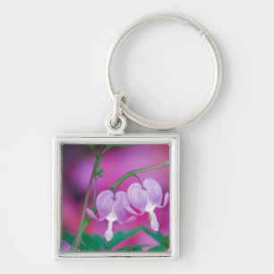 Blutungen im Garten verbinden die Herzen. Kredit Schlüsselanhänger