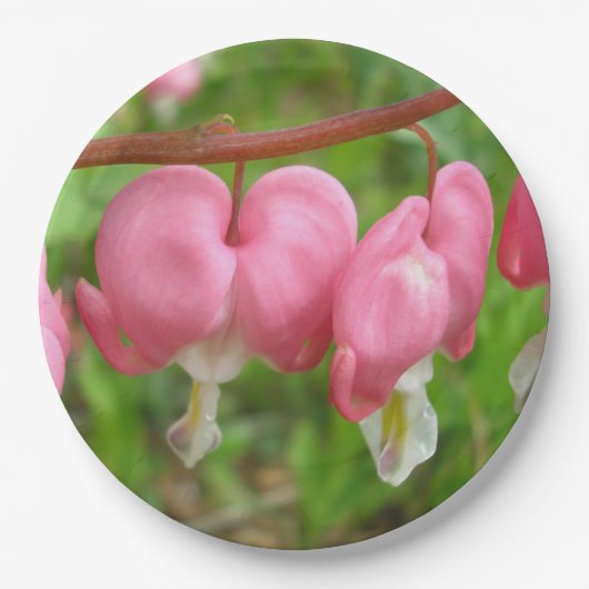 "Blutungen im Herzen" Pappteller (Vorderseite)