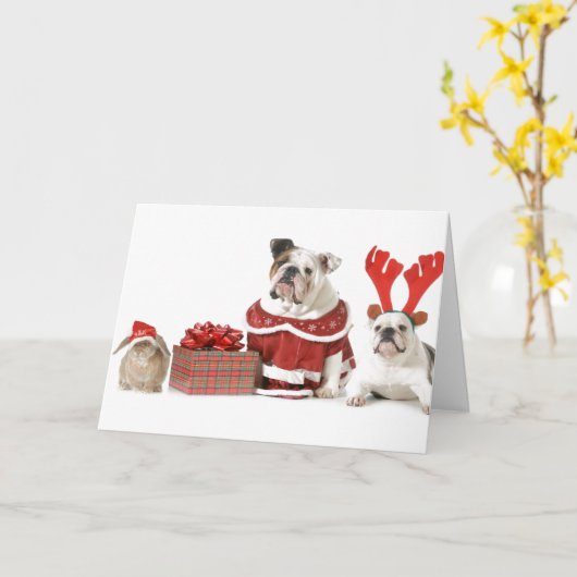 BLUTUNGEN MIT BUNNY CHRISTMAS CARD KARTE (Gelbe Blume)