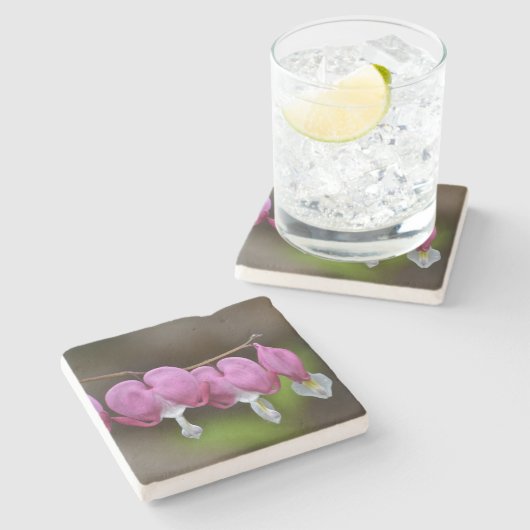 Blutungen Steinuntersetzer (Seitenansicht)