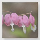 Blutungen Steinuntersetzer (Vorderseite)