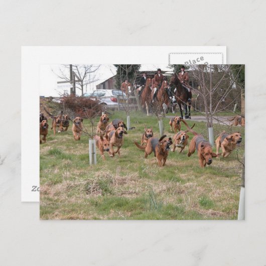 Blutvergießen Postkarte (Vorne/Hinten)