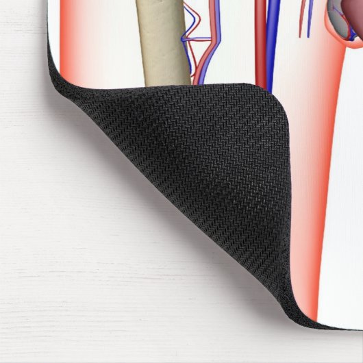 Blutversorgung Mousepad (Ecke)