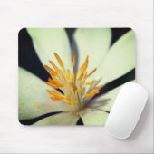 Blutwurzelzentrale Nah Mousepad (Mit Mouse)