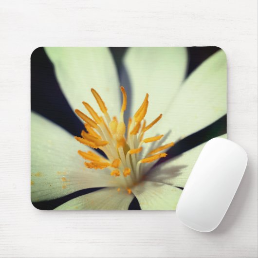 Blutwurzelzentrale Nah Mousepad (Mit Mouse)