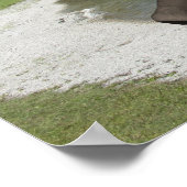 Bly Flop Elephant Poster (Ecke)